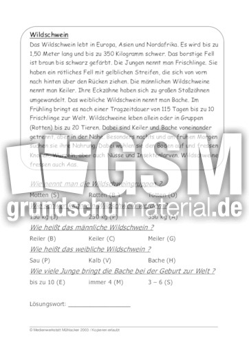 Wildschwein.pdf
